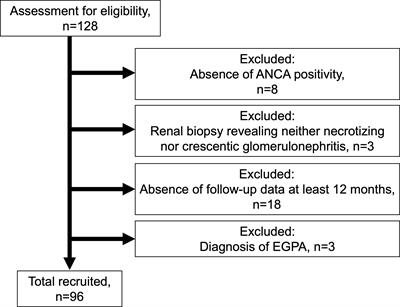 Evaluation of a renal risk score for Japanese patients with ANCA-associated glomerulonephritis in a multi-center cohort study